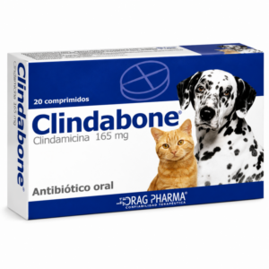Clindabone | Antibiótico - Estuche de 20 comprimidos de uso oral