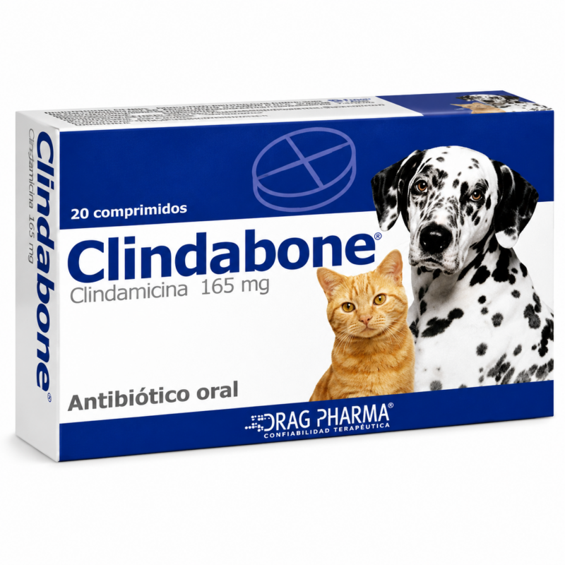 Clindabone | Antibiótico - Estuche de 20 comprimidos de uso oral