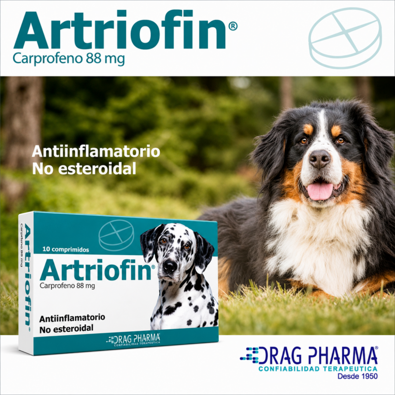 Artriofin | Caja de 10 Comprimidos - Imagen 3