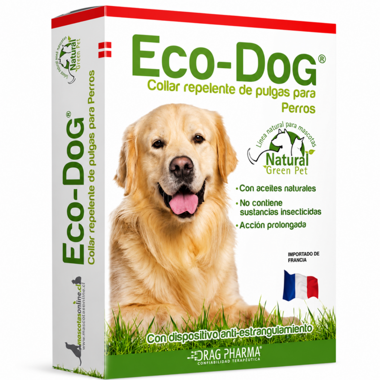 eco dog 800x800