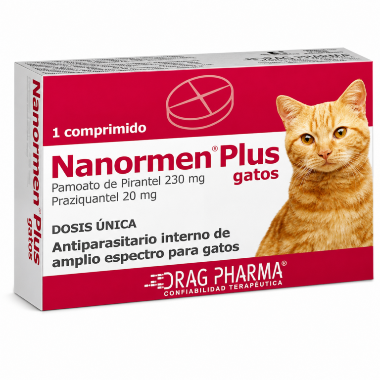 NANORMEN-GATO